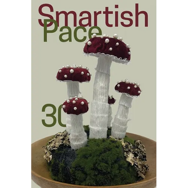 Smartish Pace: Issue 30