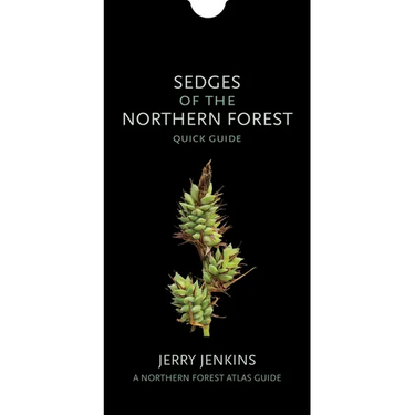 Sedges of the Northern Forest: Quick Guide