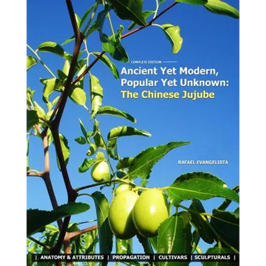 Ancient Yet Modern, Popular Yet Unknown: The Chinese Jujube: An In-Depth Guide to Growing and Propagating Chinese Jujubes