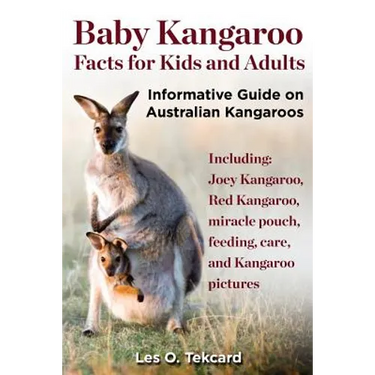 Baby Kangaroo Facts for Kids and Adults