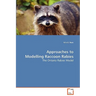 Approaches to Modelling Raccoon Rabies