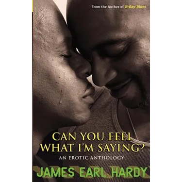 Can You Feel What I'm Saying?: An Erotic Anthology
