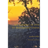 My Journey in 1970 to Maharishi's India
