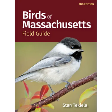 Birds of Massachusetts Field Guide