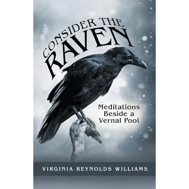 Consider the Raven: Meditations Beside a Vernal Pool