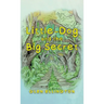 Little-Dog and The Big Secret