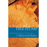 Grace in a Tree Stump: Old Testament Stories of God's Love