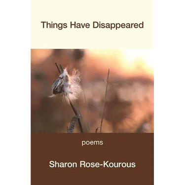 Things Have Disappeared