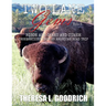 Two Lane Gems, Vol. 2: Bison are Giant and Other Observations from an American Road Trip