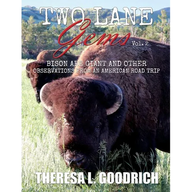 Two Lane Gems, Vol. 2: Bison are Giant and Other Observations from an American Road Trip