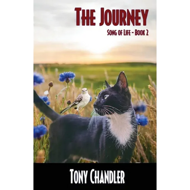 The Journey (Song of LIfe - Book 2)