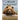 The Bear Almanac: A Comprehensive Guide to the Bears of the World