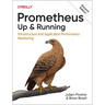 Prometheus: Up & Running: Infrastructure and Application Performance Monitoring