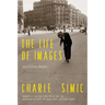 The Life of Images: Selected Prose
