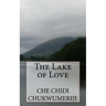 The Lake of Love: A philosophical journey