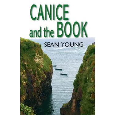 Canice And The Book: Gripping Tale Of Sixth Century Ireland