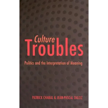Culture Troubles: Politics and the Interpretation of Meaning