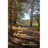 Recollections and Reflections