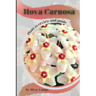 Hoya Carnosa: Plant overview and guide