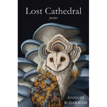 Lost Cathedral