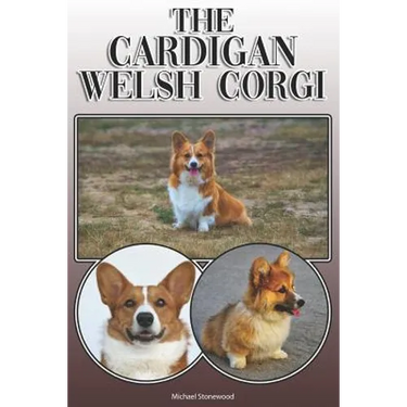 The Cardigan Welsh Corgi: A Complete and Comprehensive Owners Guide To: Buying, Owning, Health, Grooming, Training, Obedience, Understanding and