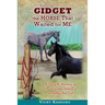 Gidget -- The Horse That Waited For Me