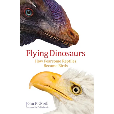 Flying Dinosaurs: How Fearsome Reptiles Became Birds