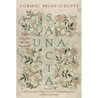 Una Sancta: Why Are We Still Separated?