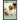 Nurse-Midwife