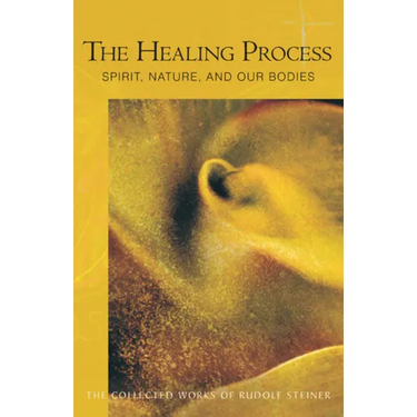 The Healing Process: Spirit, Nature & Our Bodies (Cw 319) Volume 319
