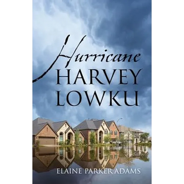 Hurricane Harvey Lowku