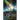 Western Lights