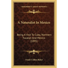 A Naturalist In Mexico: Being A Visit To Cuba, Northern Yucatan And Mexico (1895)