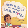 Pyaar Ki Hunda Hai?: A Punjabi-English Bilingual Toddler Book with Roman Transliteration