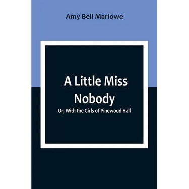 A Little Miss Nobody; Or, With the Girls of Pinewood Hall