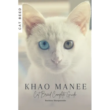 Khao Manee: Cat Breed Complete Guide
