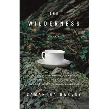 The Wilderness