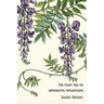 The plant and its ornamental applications