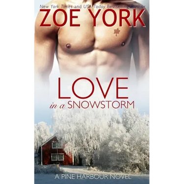 Love in a Snowstorm