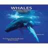 Whales, Library Edition Hardcover: The Complete Guide for Beginners