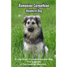 Romanian Carpathian Shepherd Dog: A Large Breed of Livestock Guardian Dogs That Originated in The Carpathian Mountains: What You Should Know About Rom