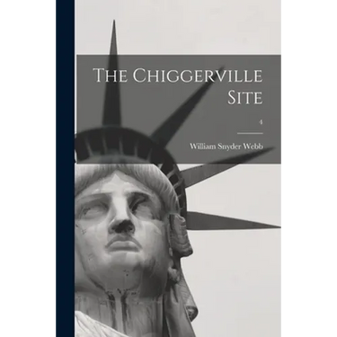 The Chiggerville Site; 4