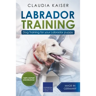 Labrador Training: Dog Training for Your Labrador Puppy