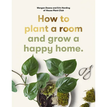 How to Plant a Room: And Grow a Happy Home