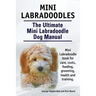 Mini Labradoodles. The Ultimate Mini Labradoodle Dog Manual. Miniature Labradoodle book for care, costs, feeding, grooming, health and training.