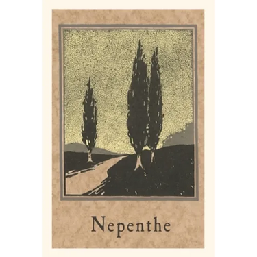 The Vintage Journal Cypresses, Nepenthe, California