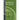 Handbook of Plant Growth PH as the Master Variable