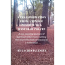 A Transformation from a Mind of Poverty to a Master of Poetry: A eye opening journey of spiritual redirection casting the true reflection of beauty in
