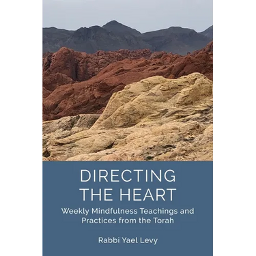 Directing the Heart: Weekly Mindfulness Teachings and Practices from the Torah
