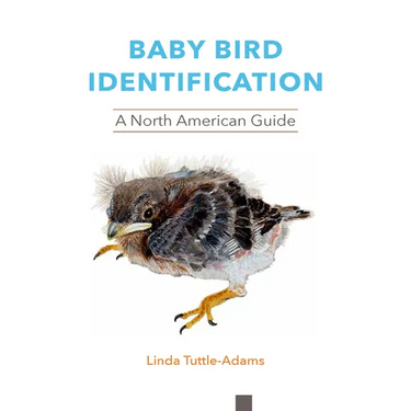Baby Bird Identification: A North American Guide
